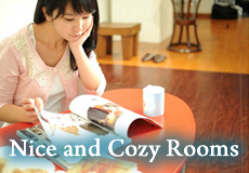 Nice and Cozy Rooms Nice and Cozy Rooms